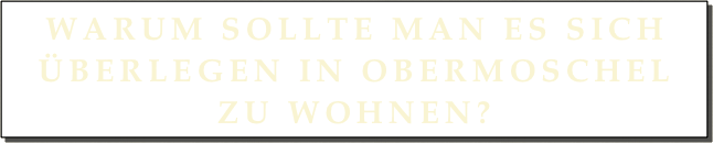 Warum sollte man es sich überlegen in Obermoschel zu wohnen?