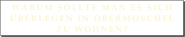 Warum sollte man es sich überlegen in Obermoschel zu wohnen?